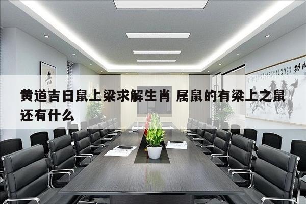 黄道吉日鼠上梁求解生肖 属鼠的有梁上之鼠还有什么