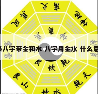 生辰八字带金和水 八字用金水 什么意思?