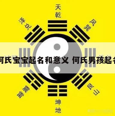 何氏宝宝起名和意义 何氏男孩起名