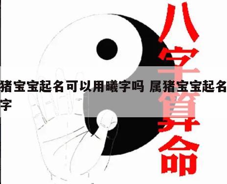 属猪宝宝起名可以用曦字吗 属猪宝宝起名宜用字