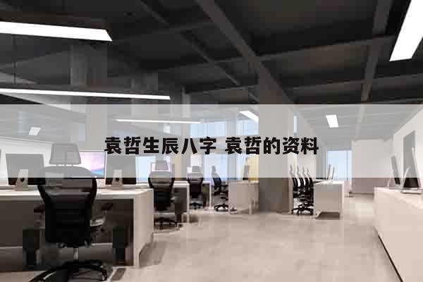 袁哲生辰八字 袁哲的资料
