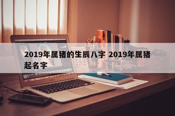 2019年属猪的生辰八字 2019年属猪起名字