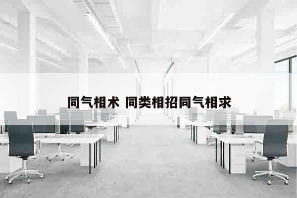 同气相术 同类相招同气相求