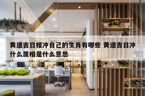 黄道吉日相冲自己的生肖有哪些 黄道吉日冲什么属相是什么意思