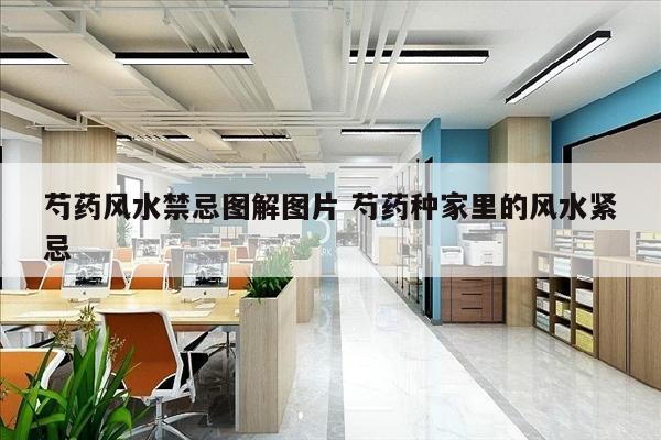 芍药风水禁忌图解图片 芍药种家里的风水紧忌