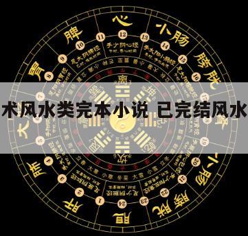 好看相术风水类完本小说 已完结风水相术小说