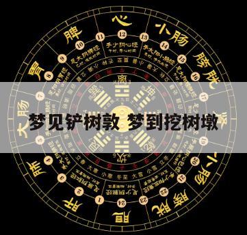梦见铲树敦 梦到挖树墩