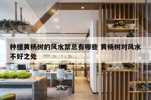 种植黄杨树的风水禁忌有哪些 黄杨树对风水不好之处