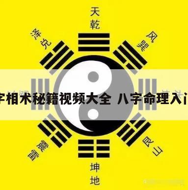 学八字相术秘籍视频大全 八字命理入门视频