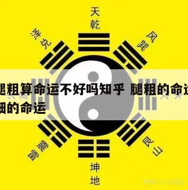 女人腿粗算命运不好吗知乎 腿粗的命运好还是腿细的命运