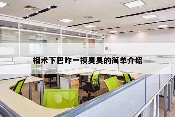 相术下巴昨一摸臭臭的简单介绍