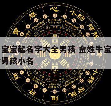 金姓牛宝宝起名字大全男孩 金姓牛宝宝起名字大全男孩小名