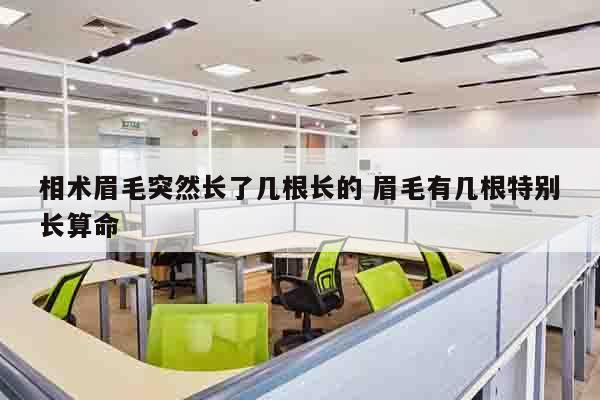 相术眉毛突然长了几根长的 眉毛有几根特别长算命