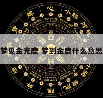 梦见金光鹿 梦到金鹿什么意思