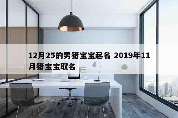 12月25的男猪宝宝起名 2019年11月猪宝宝取名