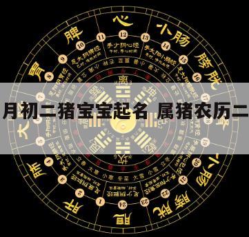 农历七月初二猪宝宝起名 属猪农历二月初七出生