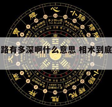 相术套路有多深啊什么意思 相术到底有没有用