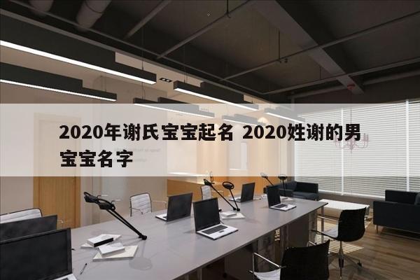 2020年谢氏宝宝起名 2020姓谢的男宝宝名字