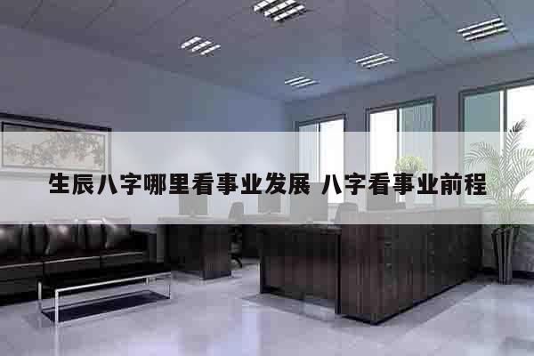 生辰八字哪里看事业发展 八字看事业前程