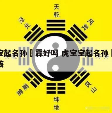 虎宝宝起名孙珺霖好吗 虎宝宝起名孙珺霖好吗男孩