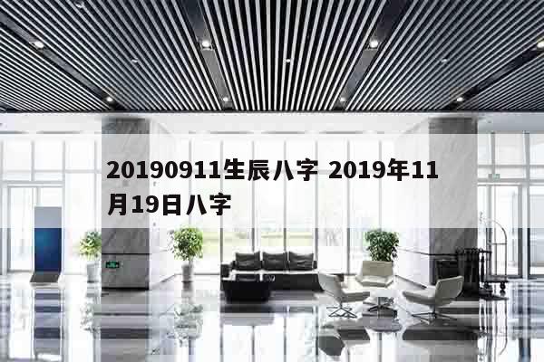 20190911生辰八字 2019年11月19日八字