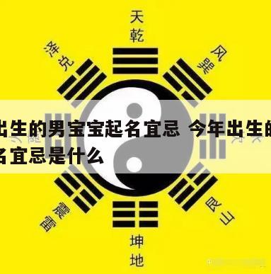 今年出生的男宝宝起名宜忌 今年出生的男宝宝起名宜忌是什么