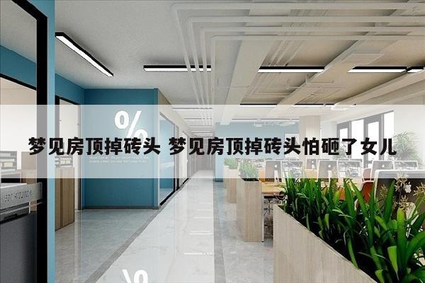 梦见房顶掉砖头 梦见房顶掉砖头怕砸了女儿
