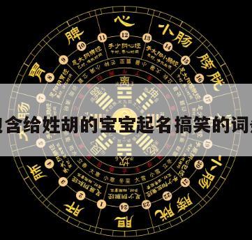 包含给姓胡的宝宝起名搞笑的词条