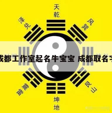 成都工作室起名牛宝宝 成都取名字