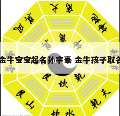 金牛宝宝起名孙宇豪 金牛孩子取名
