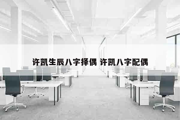 许凯生辰八字择偶 许凯八字配偶