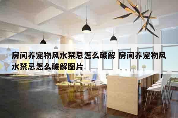 房间养宠物风水禁忌怎么破解 房间养宠物风水禁忌怎么破解图片