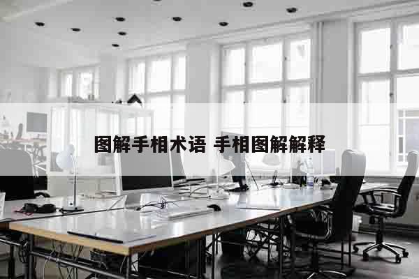 图解手相术语 手相图解解释