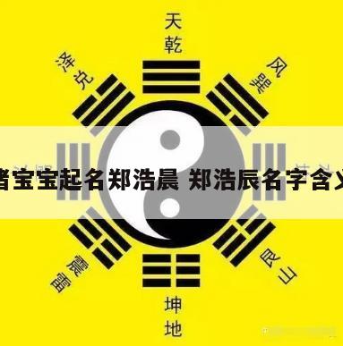 猪宝宝起名郑浩晨 郑浩辰名字含义