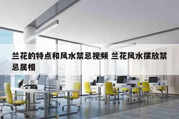 兰花的特点和风水禁忌视频 兰花风水摆放禁忌属相