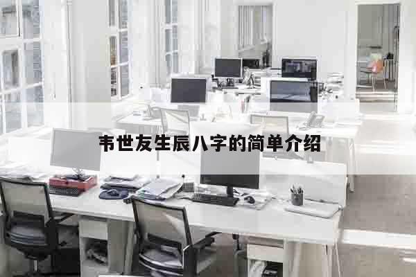 韦世友生辰八字的简单介绍