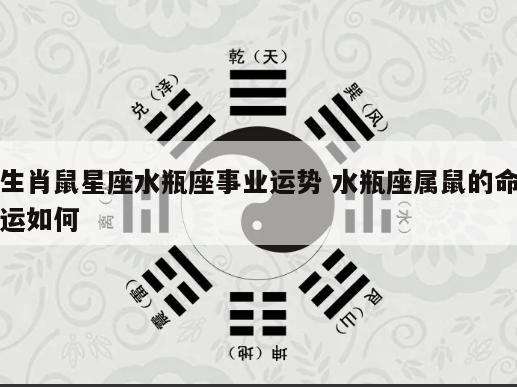 生肖鼠星座水瓶座事业运势 水瓶座属鼠的命运如何