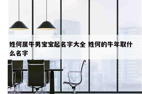 姓何属牛男宝宝起名字大全 姓何的牛年取什么名字