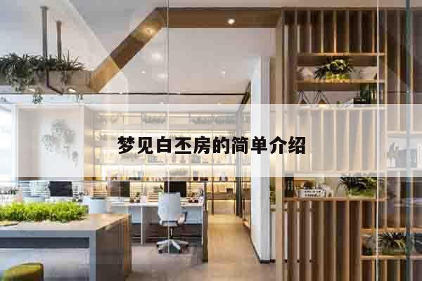 梦见白丕房的简单介绍