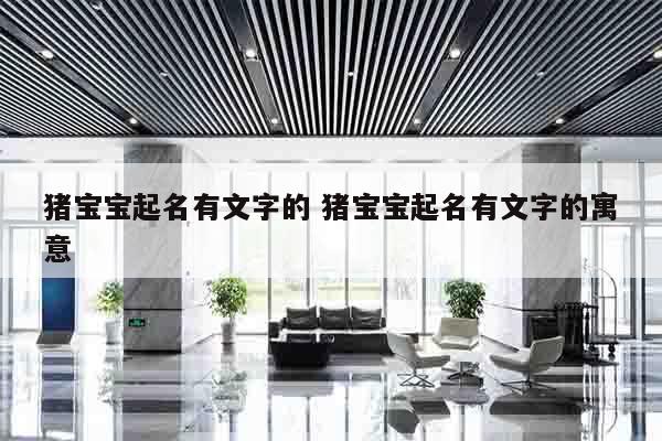 猪宝宝起名有文字的 猪宝宝起名有文字的寓意