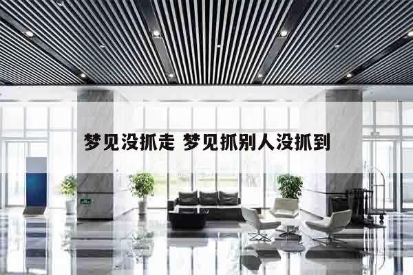 梦见没抓走 梦见抓别人没抓到