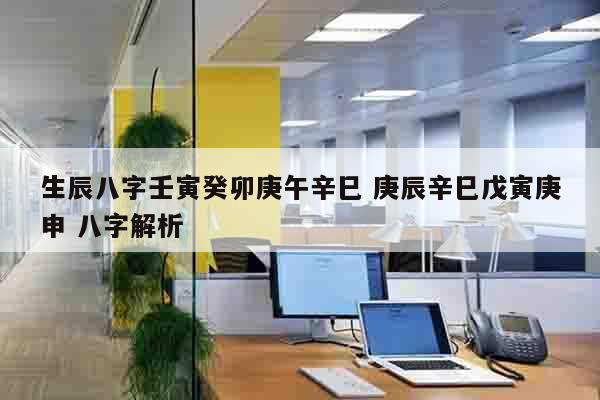 生辰八字壬寅癸卯庚午辛巳 庚辰辛巳戊寅庚申 八字解析