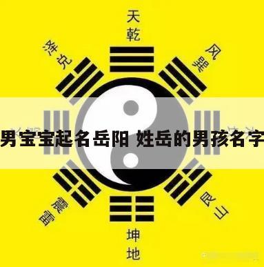 狗年男宝宝起名岳阳 姓岳的男孩名字牛年