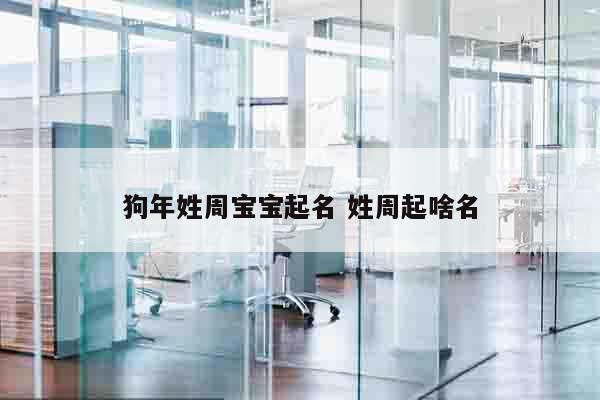 狗年姓周宝宝起名 姓周起啥名