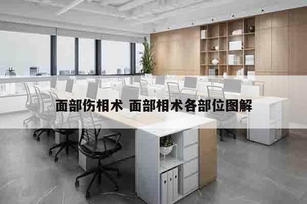 面部伤相术 面部相术各部位图解