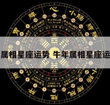 牛年属相星座运势 牛年属相星座运势女