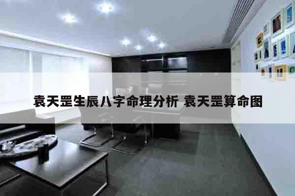 袁天罡生辰八字命理分析 袁天罡算命图