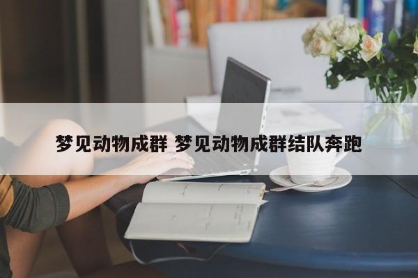 梦见动物成群 梦见动物成群结队奔跑