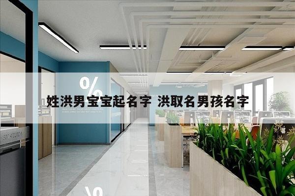 姓洪男宝宝起名字 洪取名男孩名字