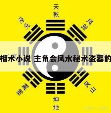 盗墓相术小说 主角会风水秘术盗墓的小说